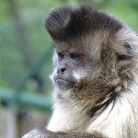 Weihnachten im Tierpark